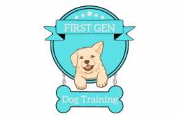 From Zero Leads to Five-Figure Months: The First Gen Dog Training Comeback